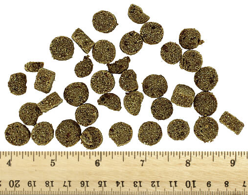 Boo Boo's Best Superfood Nuggets - Turkey, 3.6 oz. - Clean Run